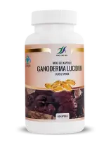 Ganoderma Lucidum, 60 kapsula