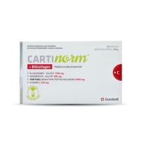 Cartinorm + BIOcollagen, 20 kesica