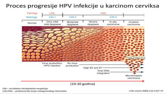 HPV-inner-1